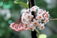 /album/naturaleza/el-gran-festin-jpg/